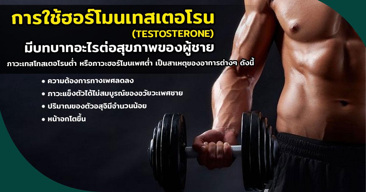 ฮอร์โมนเทสเตอโรน