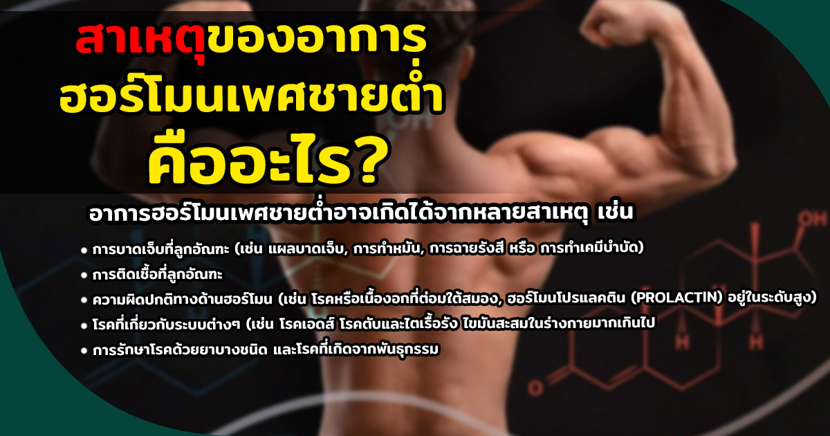 ฮอร์โมนเทสเตอโรน