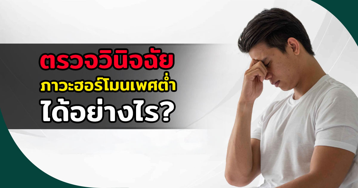 ฮอร์โมนเทสเตอโรน